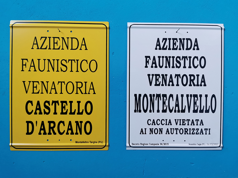 AFV AATV PERSONALIZZATE 3